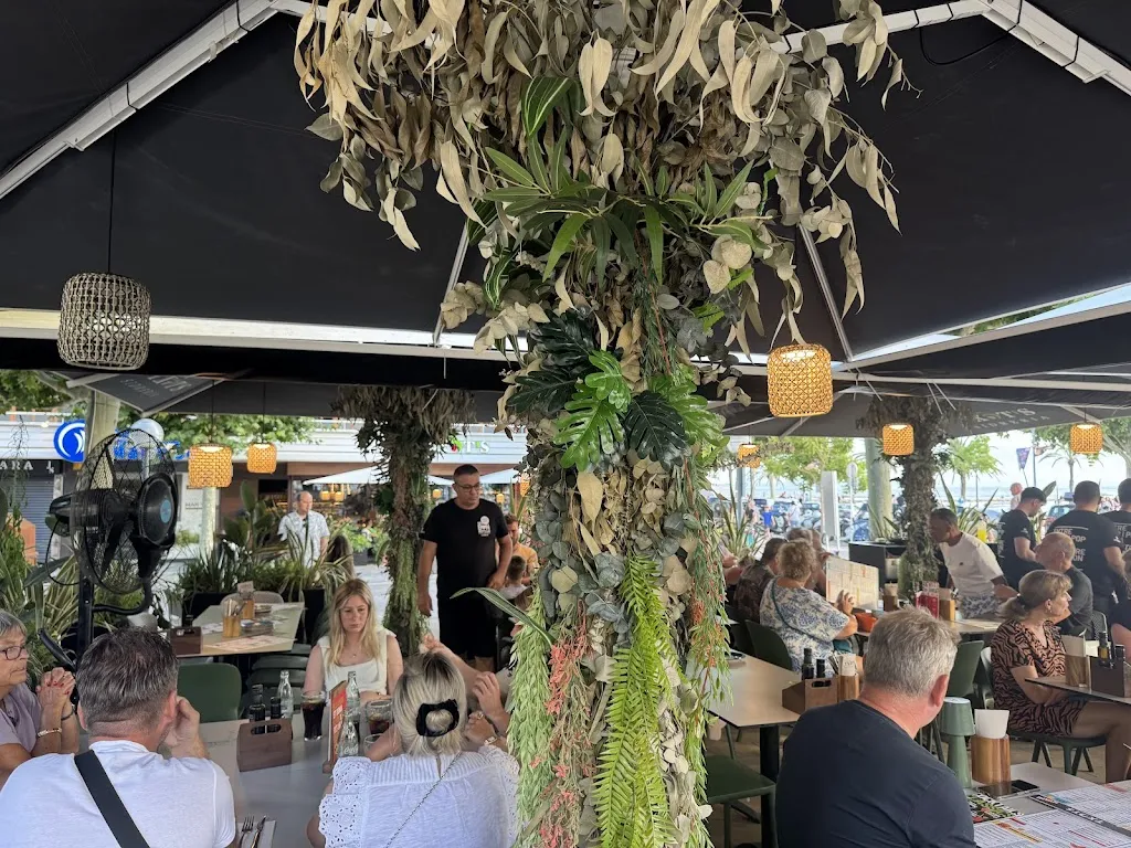 Peter Vanham_Txots Roses_Roses_review