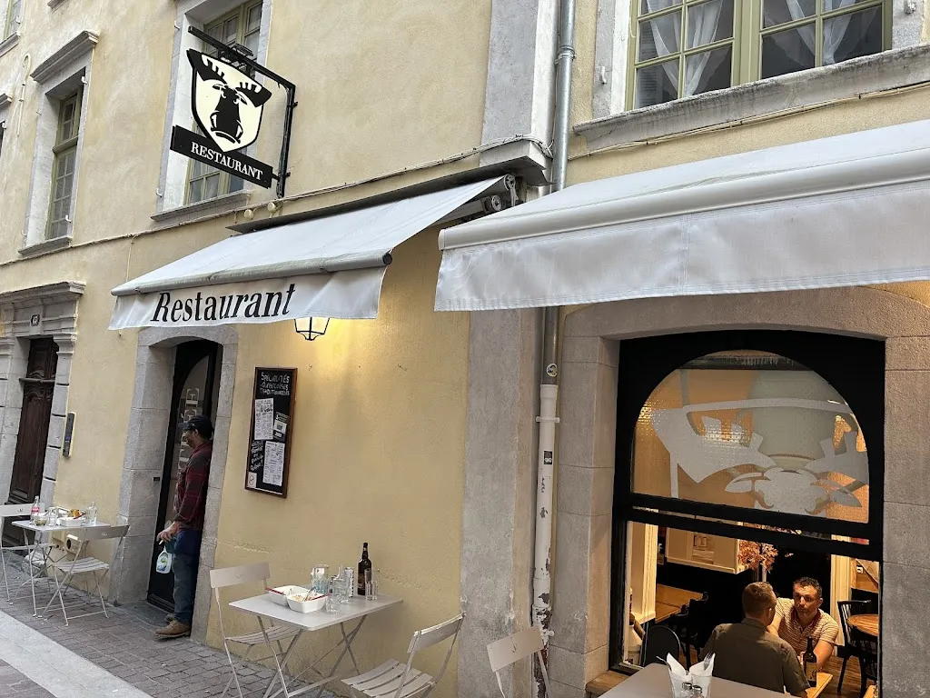 Soroush K_Ô Caribou_Pau_review