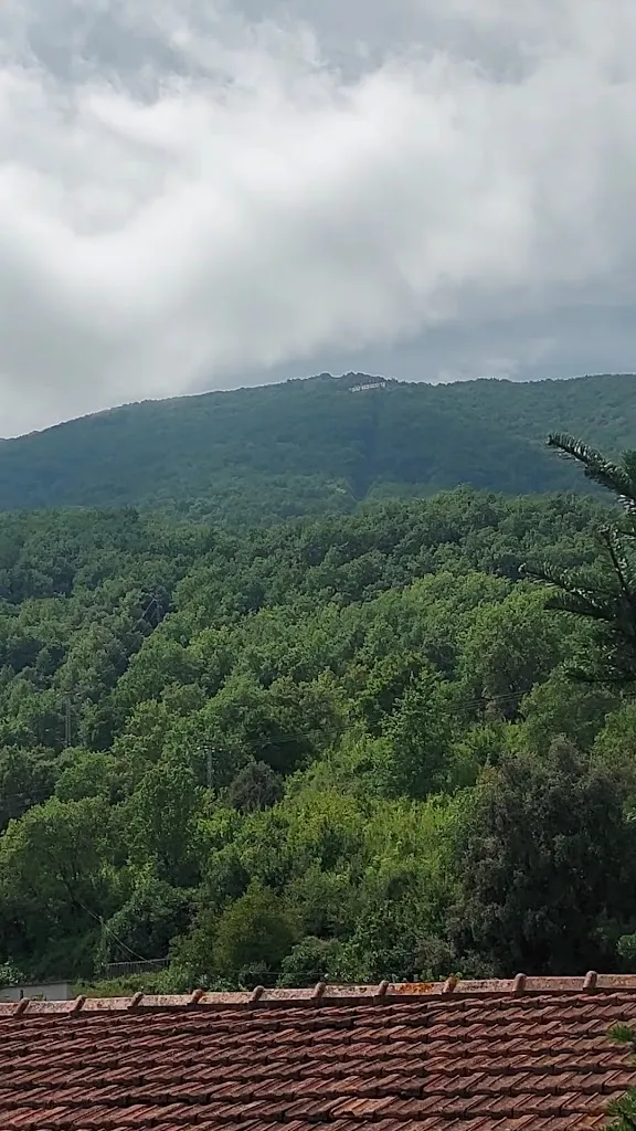 Cedes Mir_Fonda Finet. Restaurant, Allotjament i Apartaments_Sant Feliu de Pallerols_review