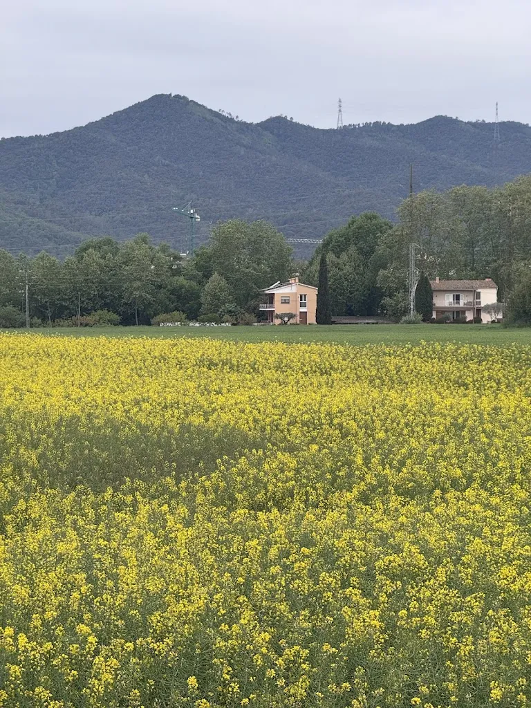 Orpha R Melecio_Can Xifra_Sant Gregori_review