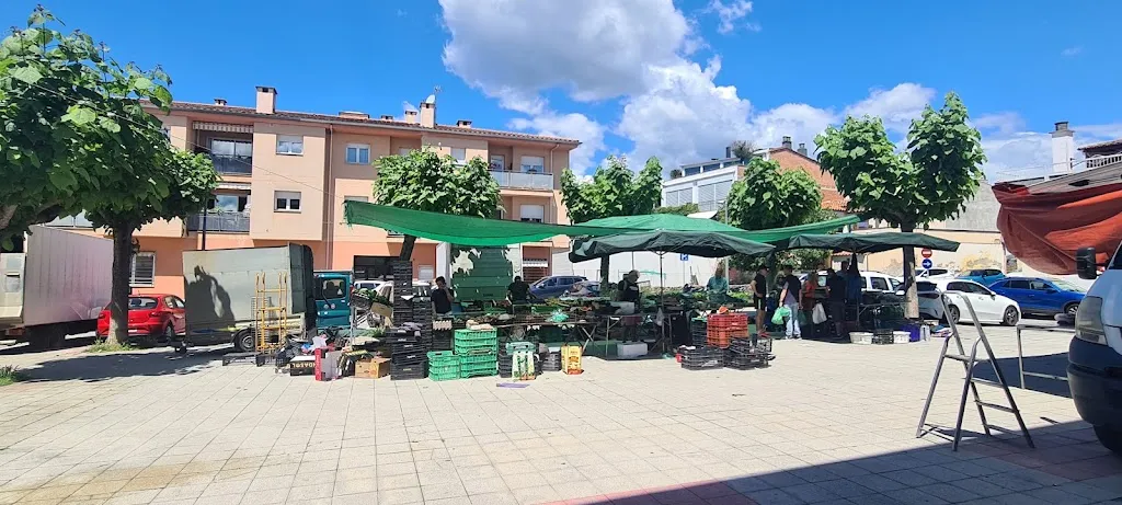 Bar El Celler d’en Cavallé_Sant Gregori_slider_image_2