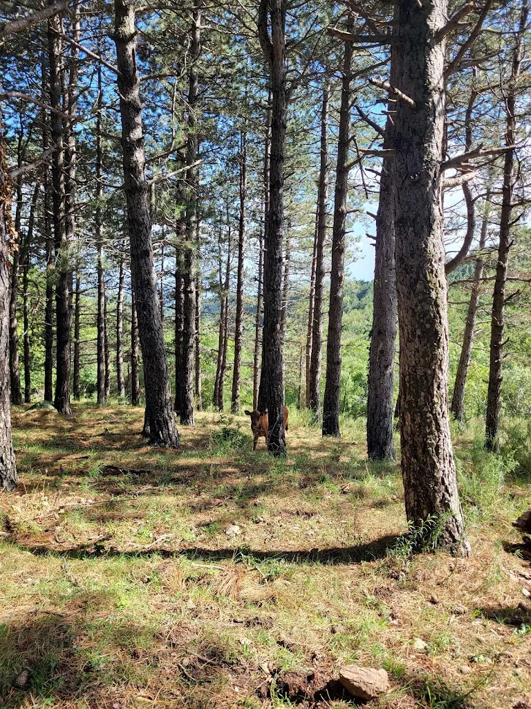 R B_Hostal de l'Aigua_Sant Llorenç de la Muga_review