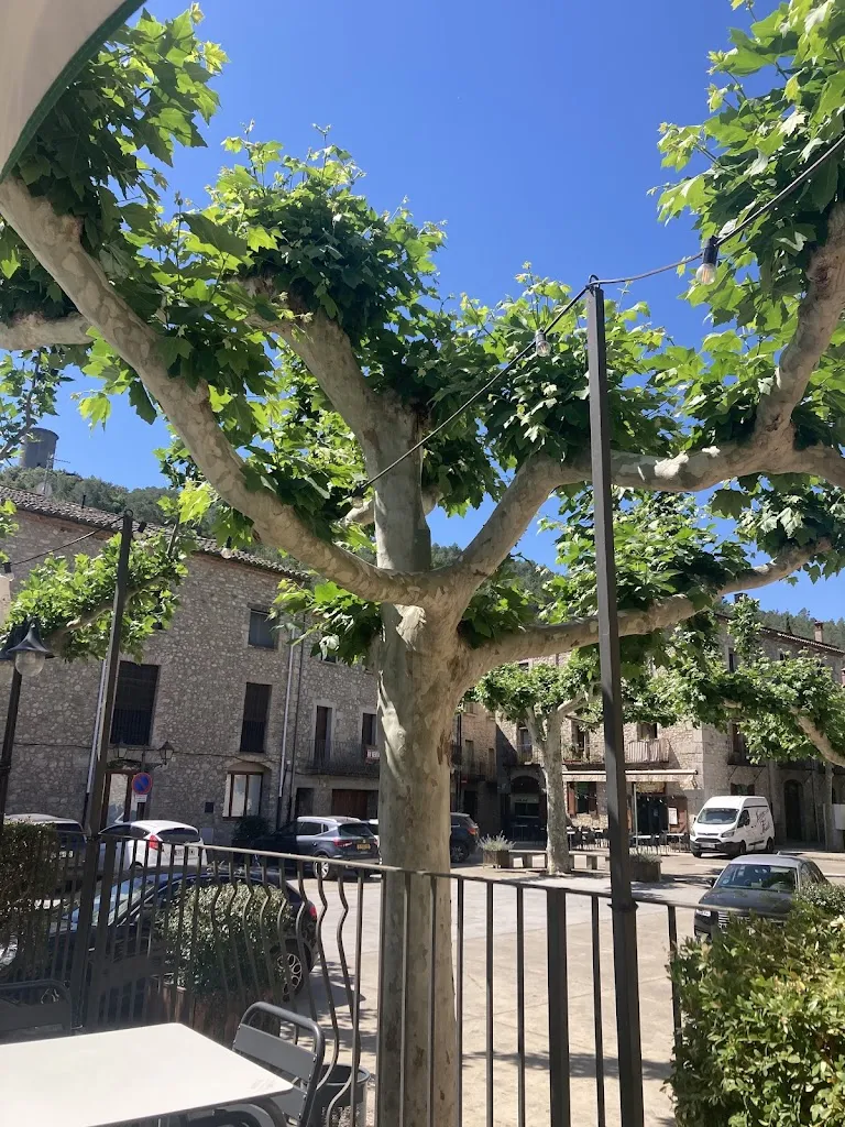 Rob Bruynzeels_Societat La Fraternitat_Sant Llorenç de la Muga_review