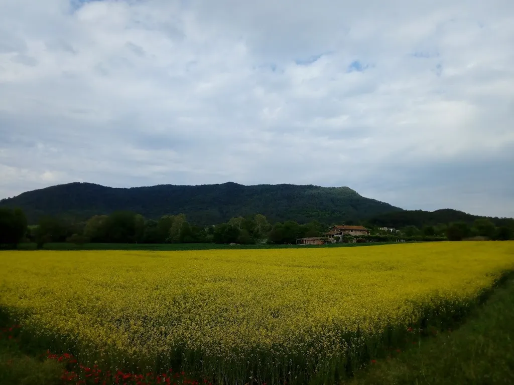 Hostal De Sant Miquel de Campmajor_Sant Miquel de Campmajor_slider_image_2