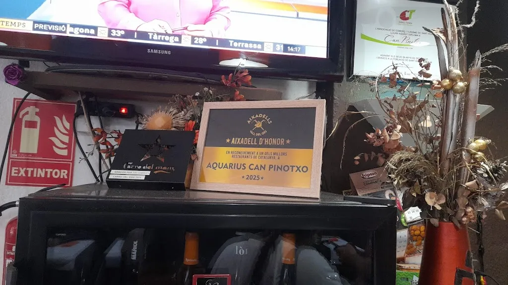 only boxer_Restaurant Aquari 