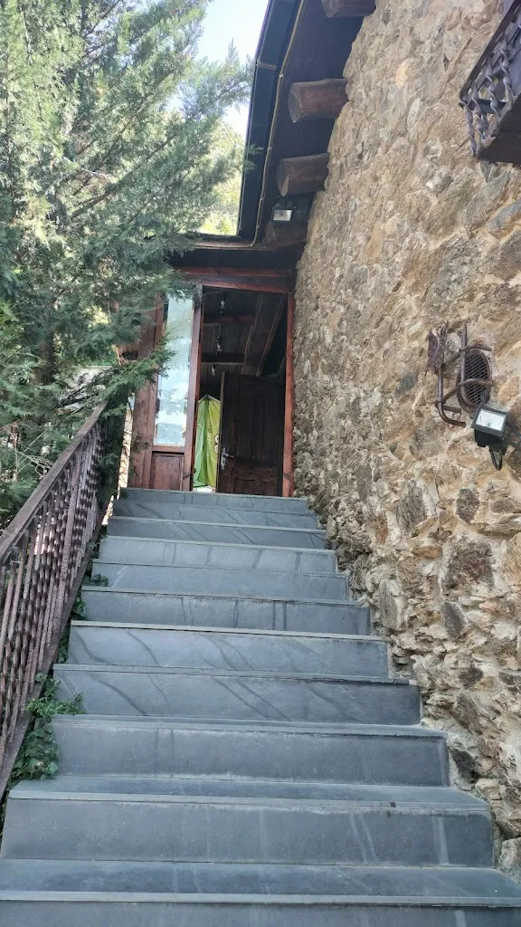 Pilar Fernandez_RESTAURANT BORDA DE LES PUBILLES_Sant Julià del Llor i Bonmatí_review