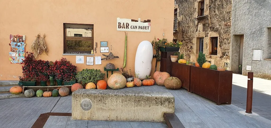 Donnie Darko_Can Pauet_Santa Pau_review