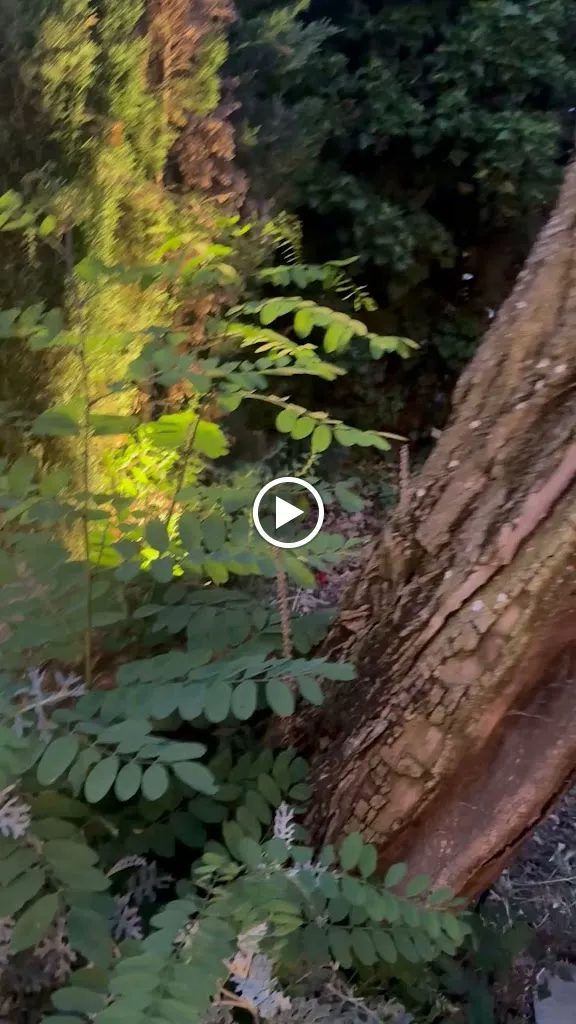 Restaurant La Font Picant Bell-Lloc_Santa Cristina dAro_slider_image_2