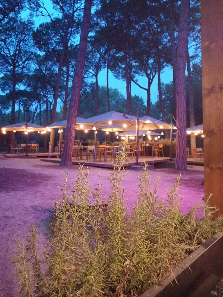 joey_Coquette_Santa Cristina dAro_review