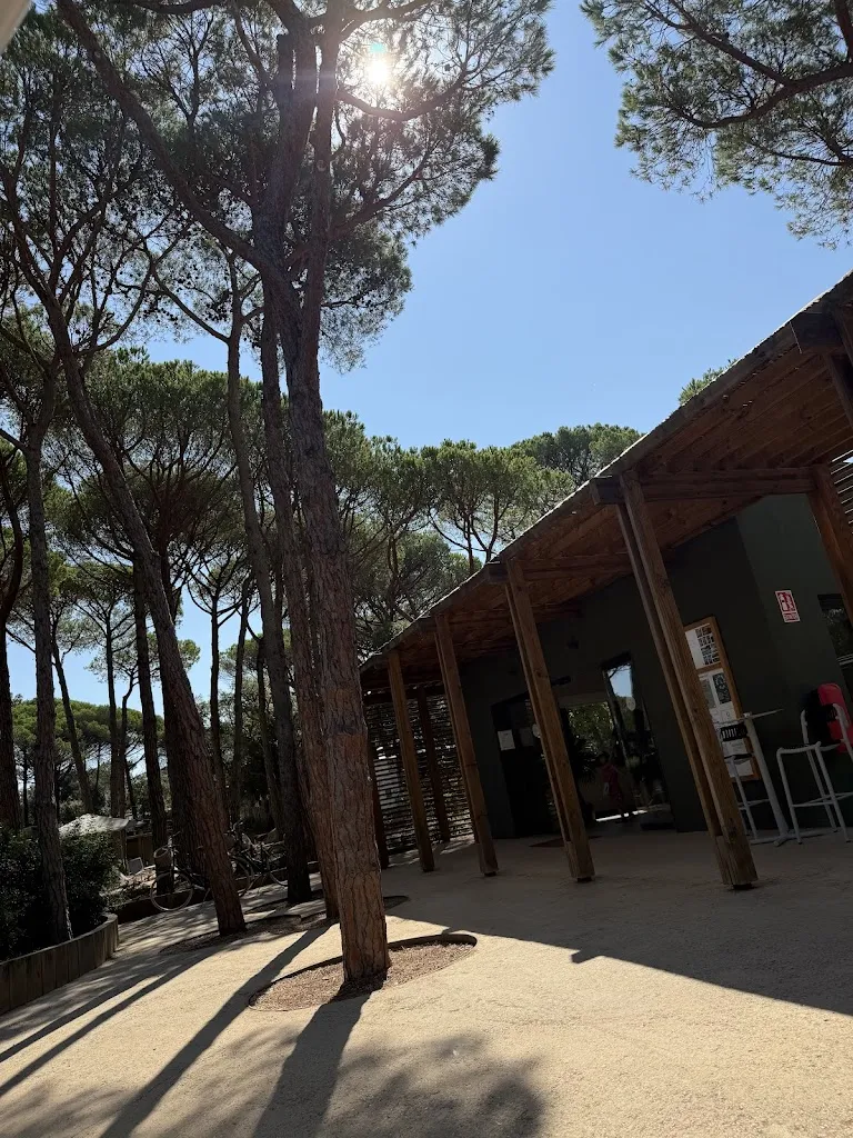 Sophie Coe_Coquette_Santa Cristina dAro_review