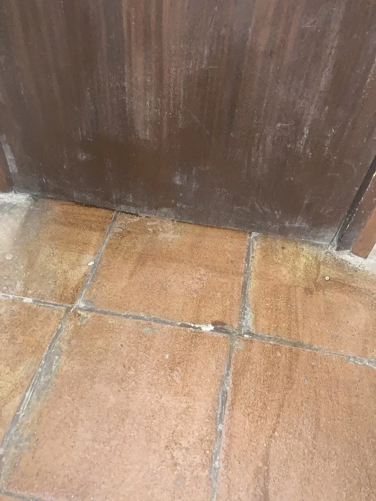 Estel Segui Domingo_Sol de NIT_Selva de Mar La_review