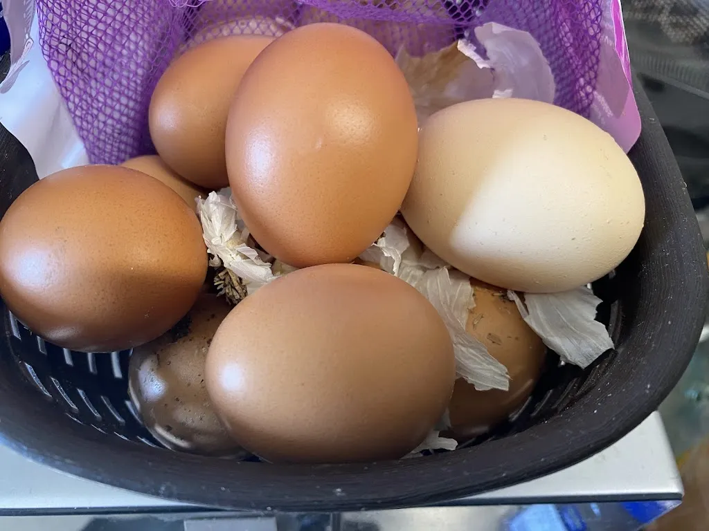 Menu_La Cantina del Camp de tir_Saus  Camallera i Llampaies_image_7