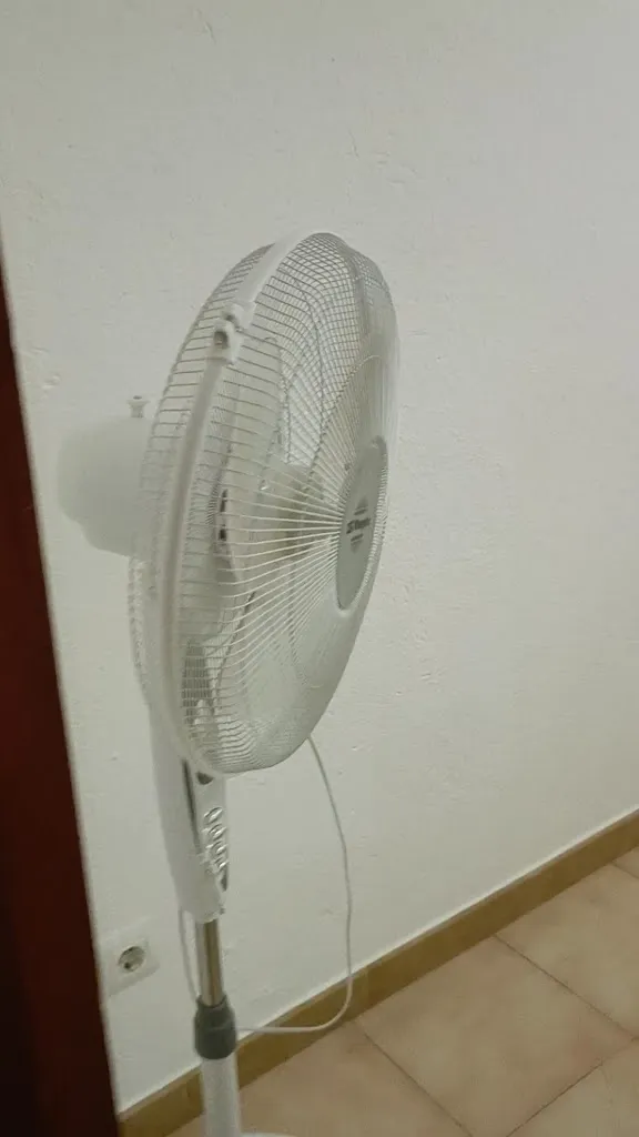 000 “‪girasol‬” bao_Pensió L'Avi Pep_Saus  Camallera i Llampaies_review