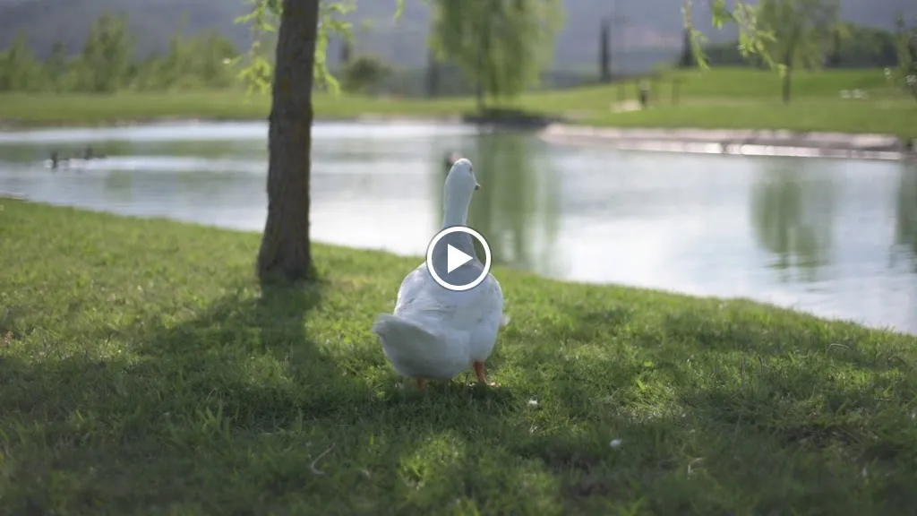 Hotel Mas Solà_Santa Coloma de Farners_slider_image_2