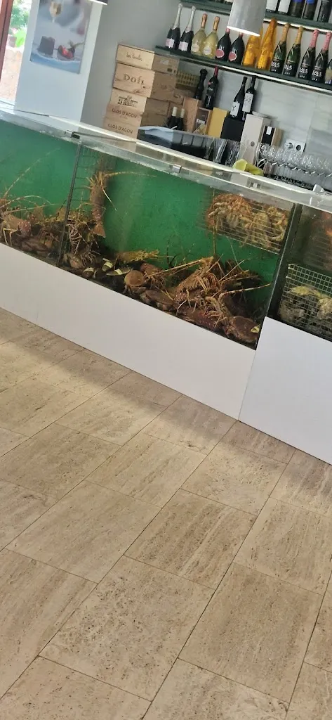 Zane Roga_Sa Marinada_Sant Feliu de Guíxols_review