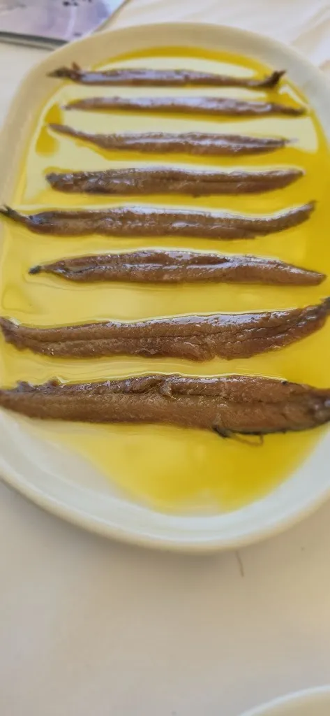 Menu_Restaurant Villa Mas_Sant Feliu de Guíxols_immagine_6