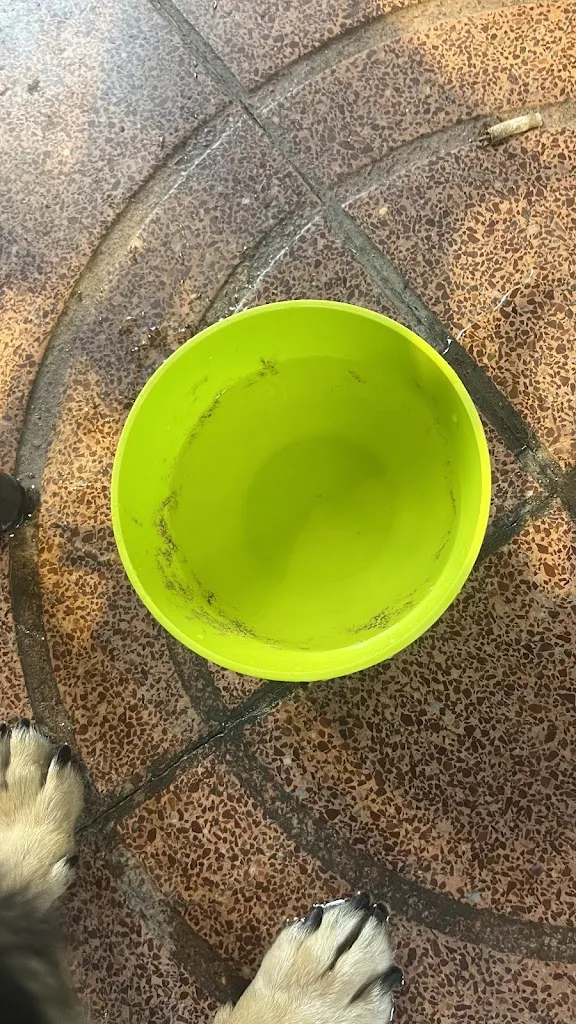 Aleksandra_Restaurant Can Julià_Sant Feliu de Guíxols_review