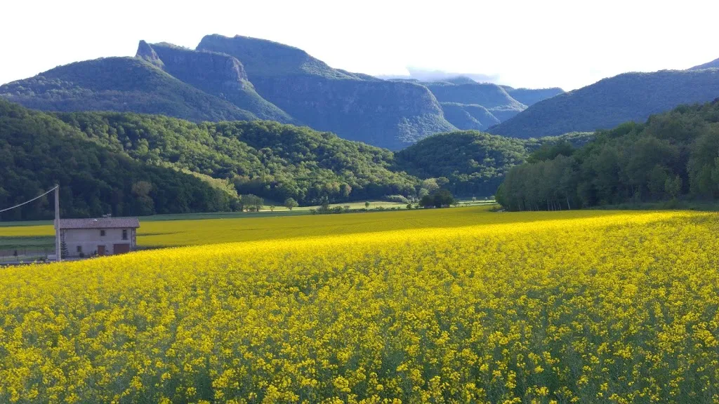 Enric Rubió Serra_Vall de Bas_Vall den Bas La_recensione