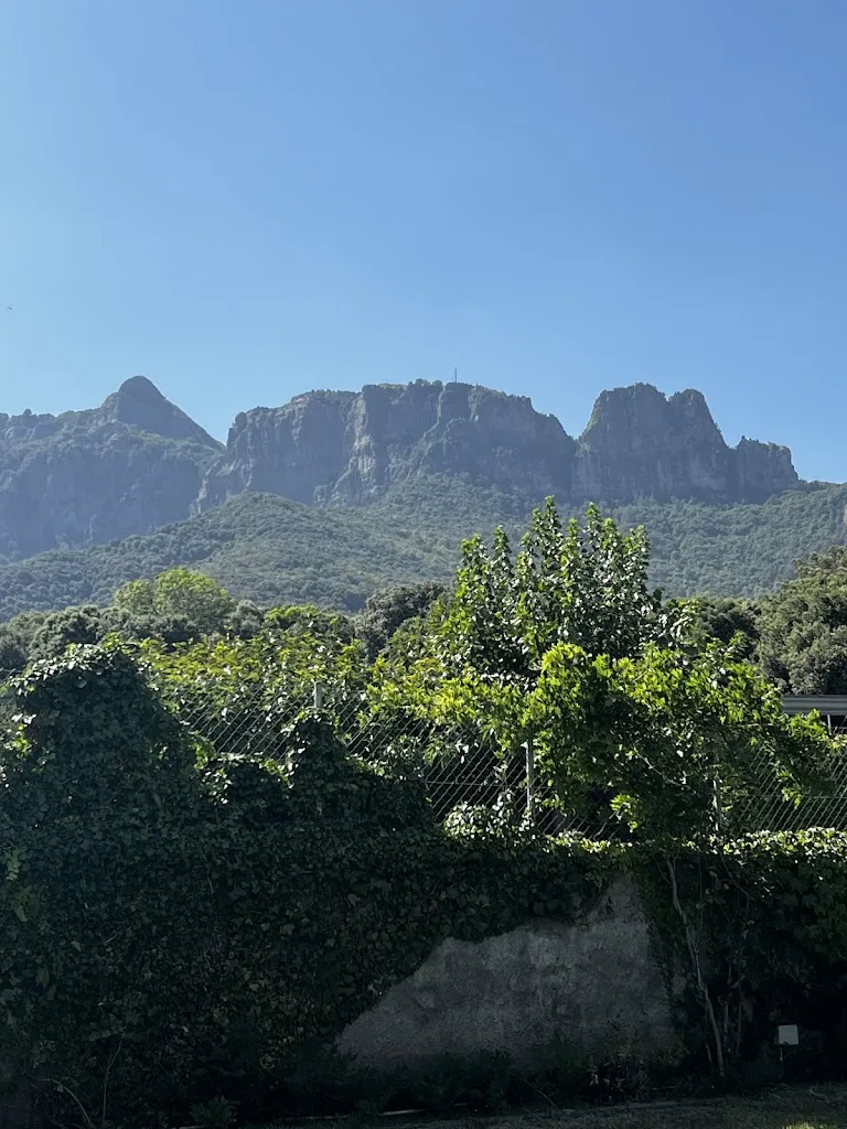 Paulo Matos_Restaurant Fonda Barris _Vall den Bas La_review