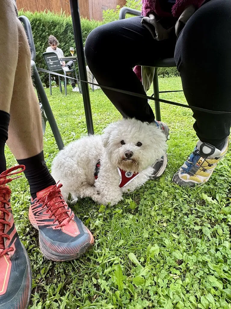 Anna Planas_Bar Restaurant Can Parlet_Vilallonga de Ter_review