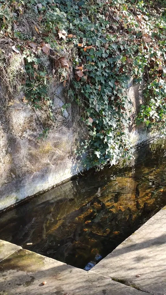 Yassine Boudhina - YalSee_El Molí de LA BARITA_Viladrau_review