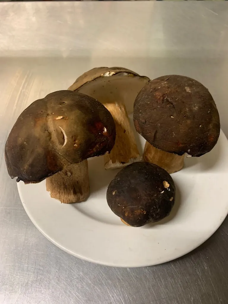 Menu_Restaurant Can Gros_Vilobí dOnyar_immagine_5