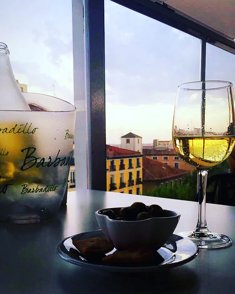 Manuel Leciñana_Granada House in Madrid_Agrón_review