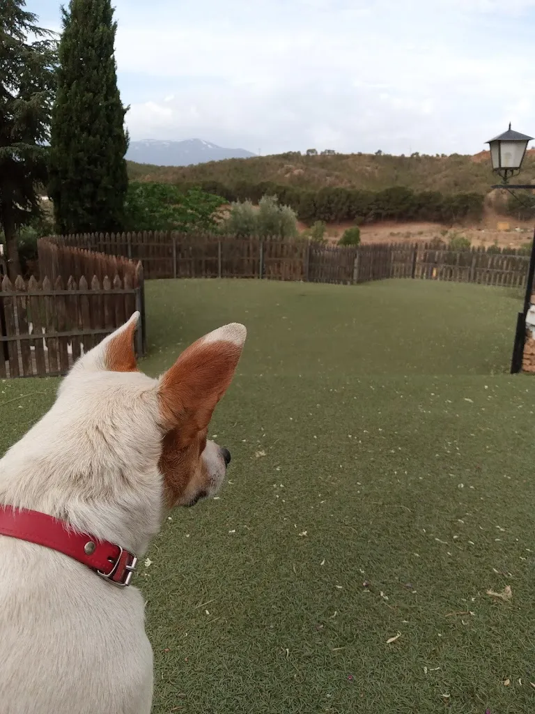 K G_Casas Cueva del Tío Tobas_Albuñán_review