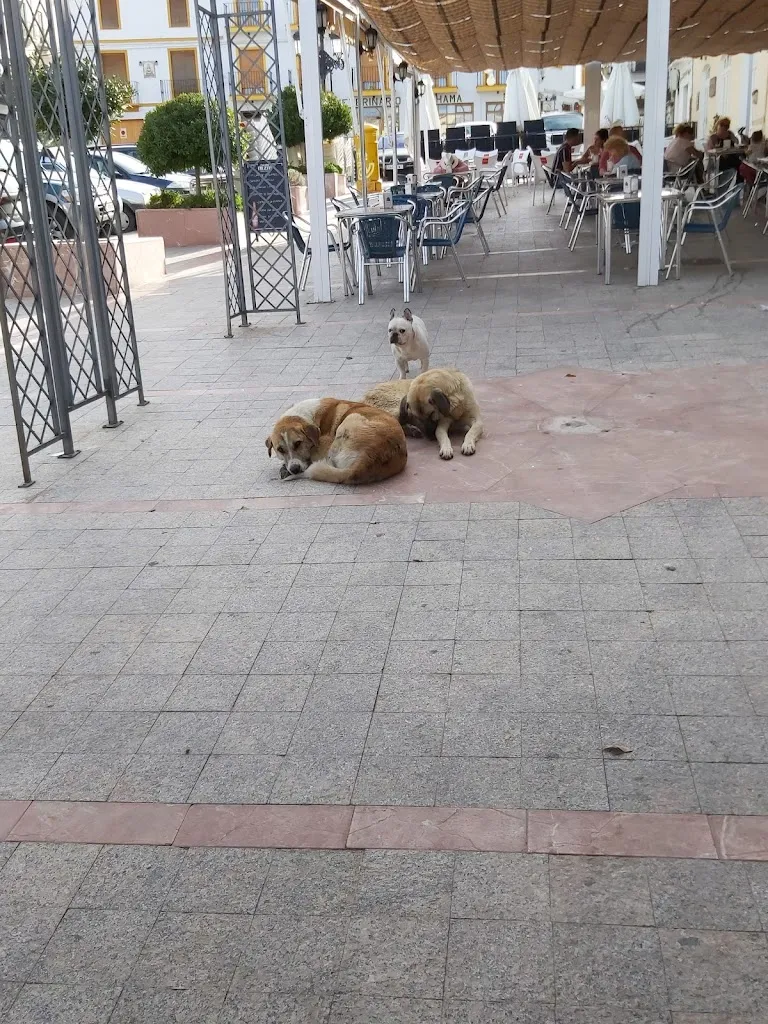 Michael Johns_Mesón De Diego_Alhama de Granada_review