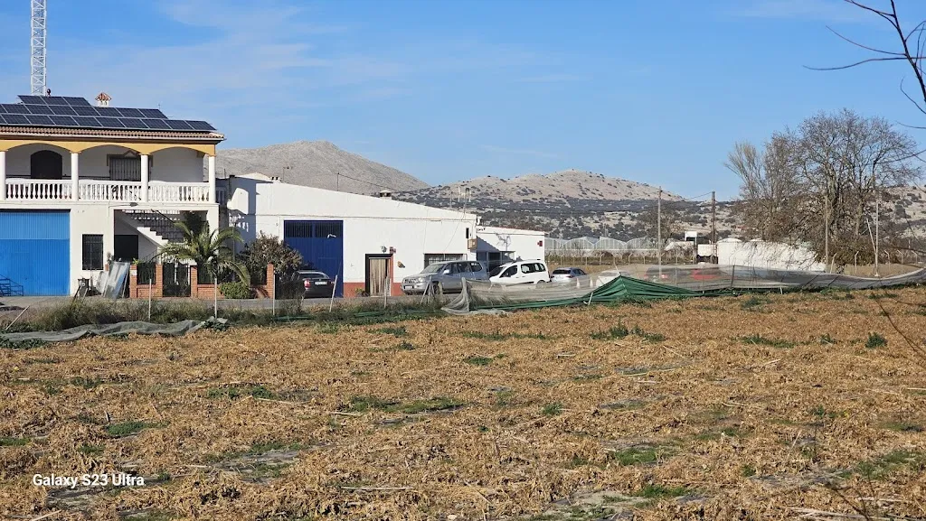 eric bamfordee_Venta julio pata jamon asada_Alhama de Granada_review