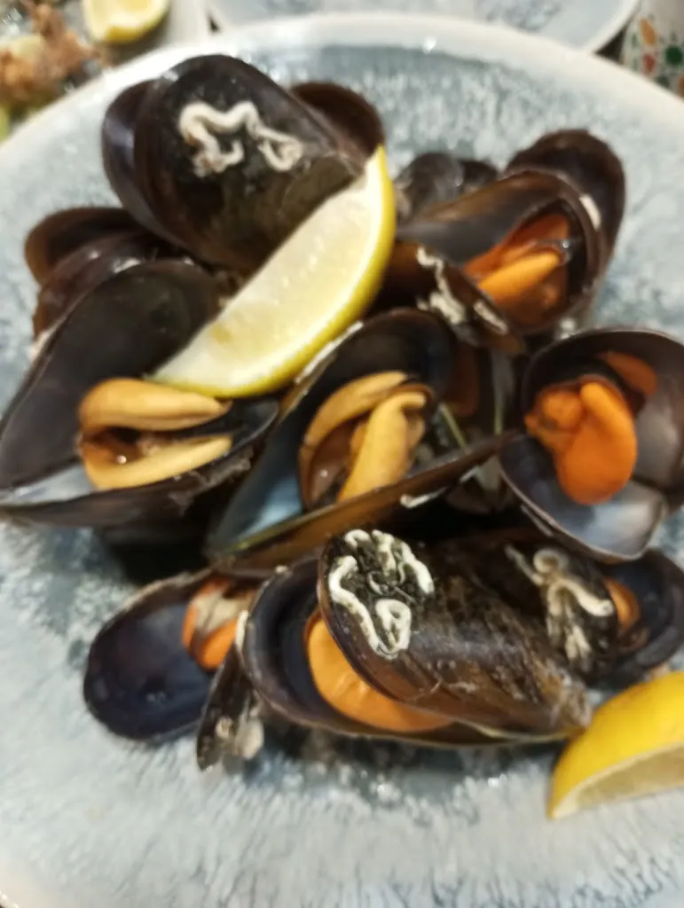 Mtb_Bar el rinconcillo_Alhendín_review