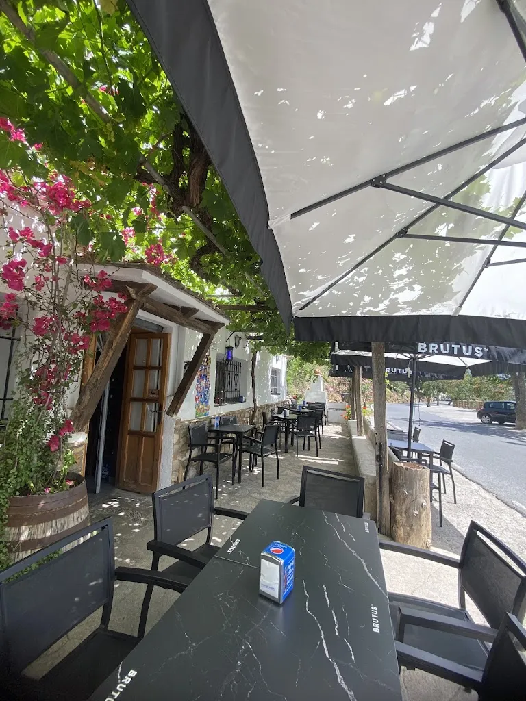 Bar Robles restaurant in Alpujarra de la Sierra