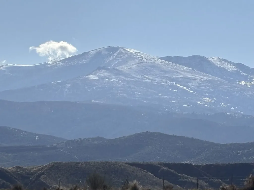 Alberto Ramos_Almazara de Paulenca_Beas de Guadix_review