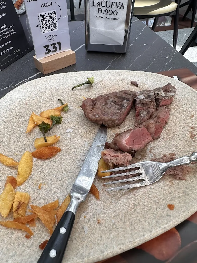 Deborah Teodoro_La Cueva de 1900 / Nevada II _Armilla_review