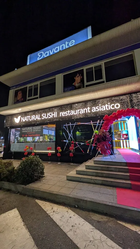 Domingo P._natural sushi restaurante asiatico_Armilla_review