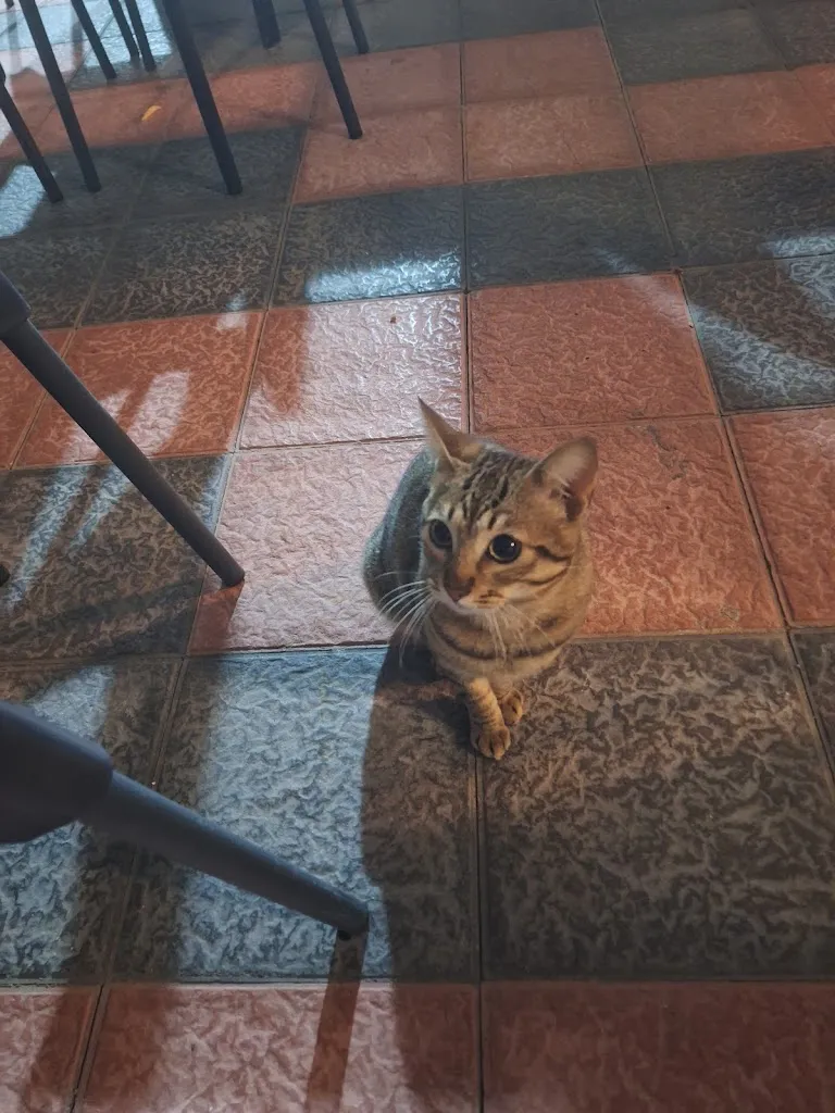 G Dark_Restaurante Gastrobar De la Flor_Almuñécar_review