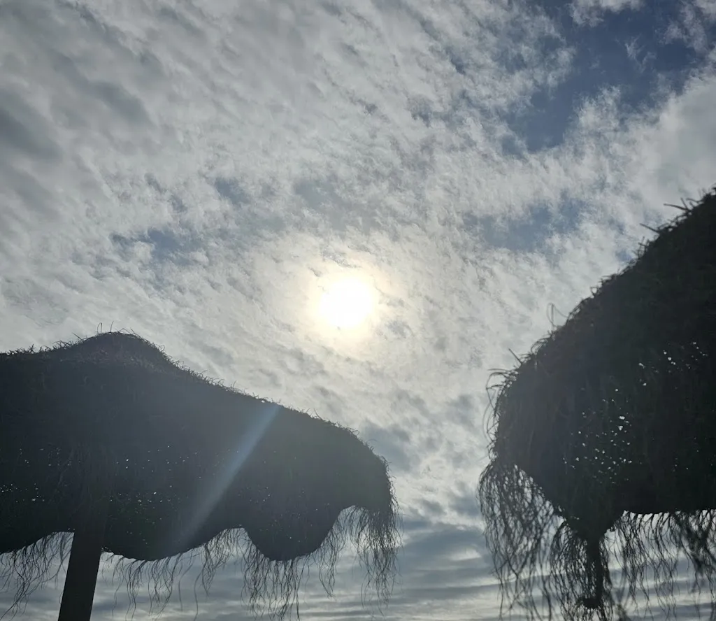 Vix “Vix”_Discochiringuito UHA_Almuñécar_review