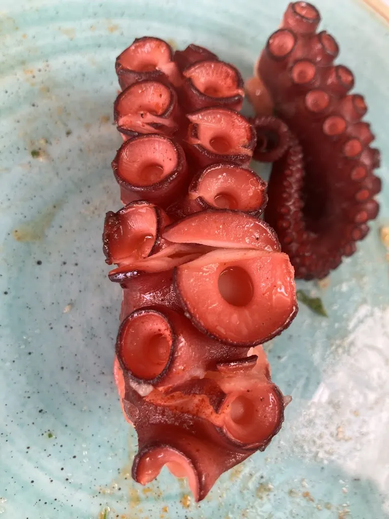 Alisha Manandhar_Casa Paco_Almuñécar_review