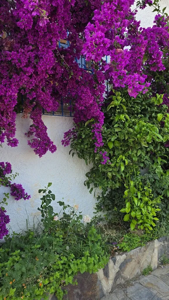 Sumaiya S_Restaurante Jaima Los Llanos - Halal_Carataunas_review