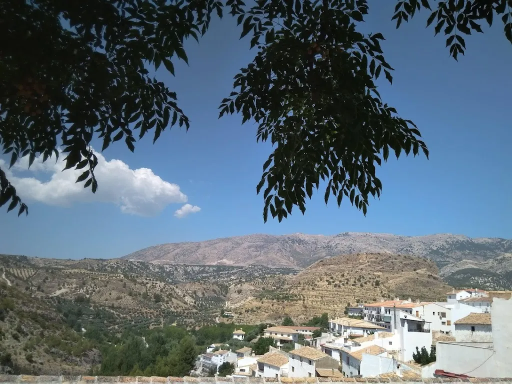 Spanish Town and Country Homes_Bar Zafra_Castril_review