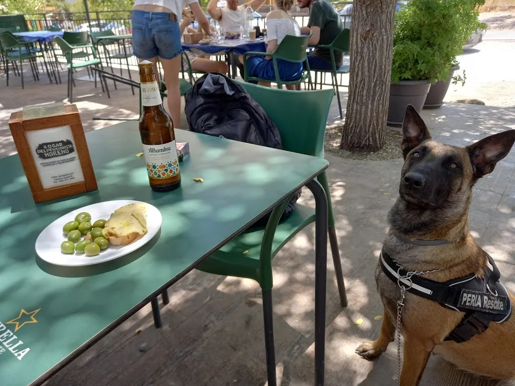 Menu_Bar Hogar del pensionista MORENO_Castril_image_5