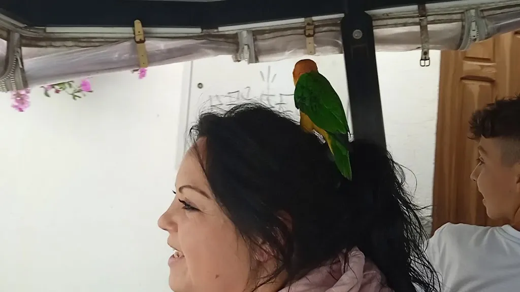 Alojamiento Rural El Molino De La Cerrada_Castril_slider_image_2