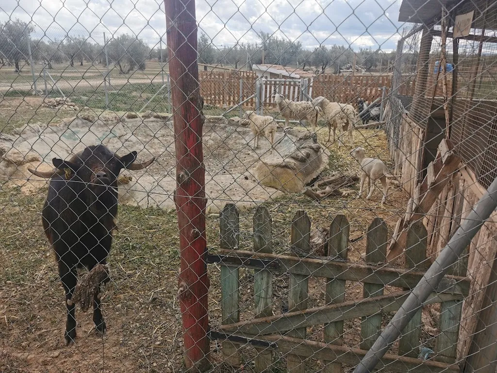 Anping Dong_Restaurante - El Secadero_Cijuela_review