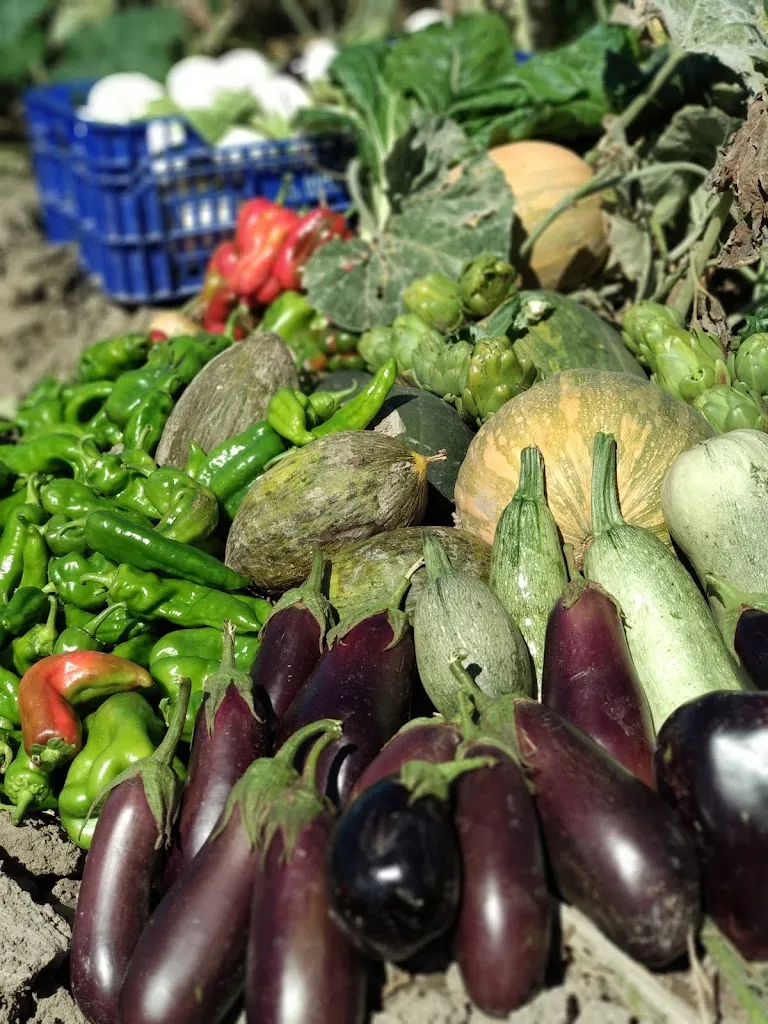 Menu_Asadero El Brillante_Chauchina_image_7