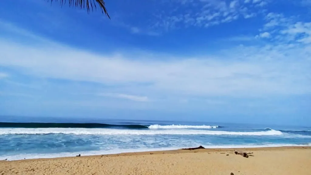 asadero pizzeria virgen del espino restaurant in Chauchina