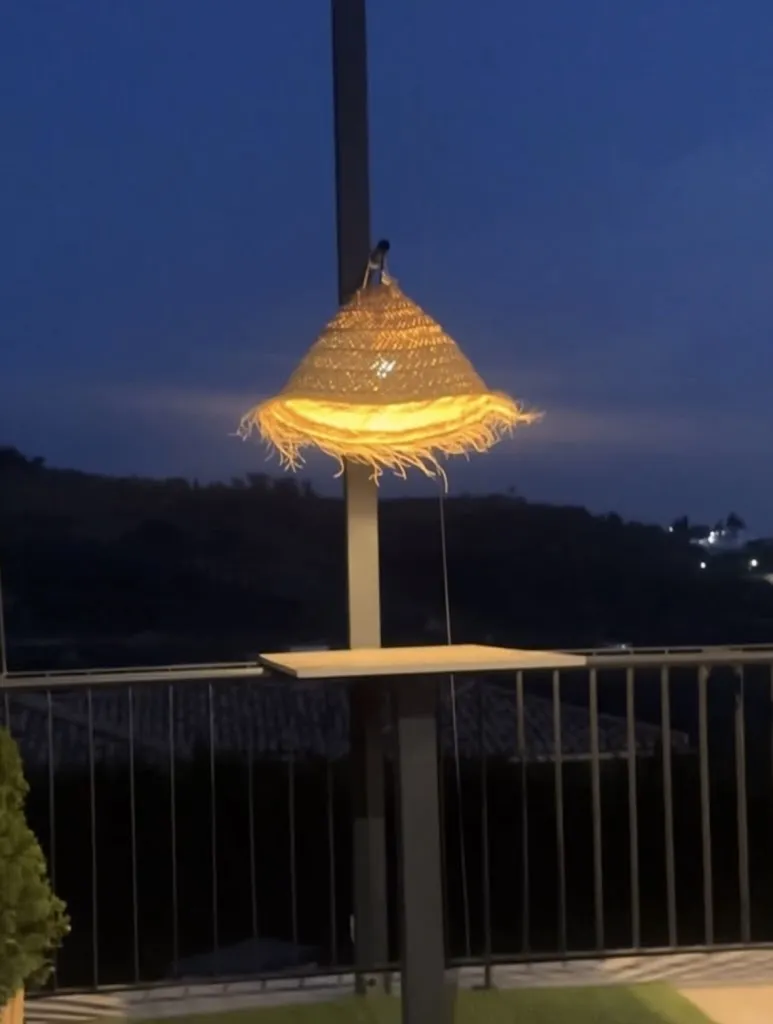 Andrea Pino lara_AQUA Gastrobar restaurante_Cogollos de la Vega_review