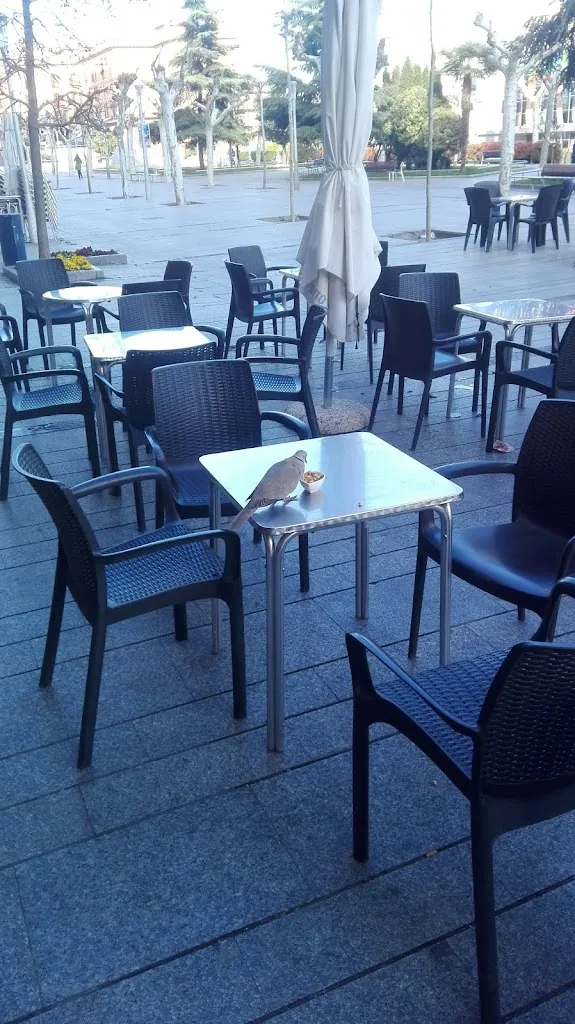 Pedro J._Kilkenny Irish Tavern_Calahorra La_review