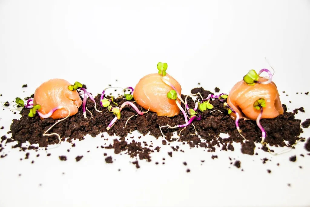 Bar sabor.es_Calahorra La_slider_image_2