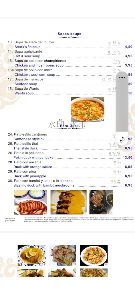 Menu_Shang Hai_Almoradí_immagine_2