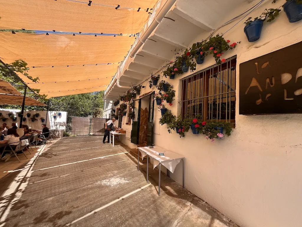 pieter jan schotsmans_Restaurante El molino del Puente - Biodurcal_Dúrcal_review